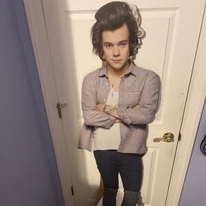 Harry Styles Cut Out